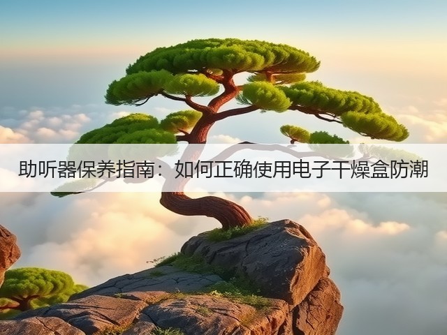 助听器保养指南：如何正确使用电子干燥盒防潮(图2)