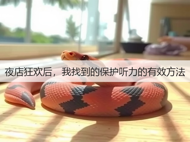 夜店狂欢后，我找到的保护听力的有效方法(图1)