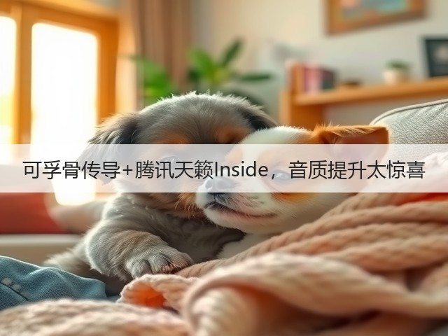 可孚骨传导+腾讯天籁Inside,音质提升太惊喜(图3) 可孚骨传导+腾讯天籁Inside,音质提升太惊喜(图3)