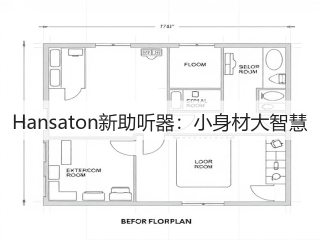 Hansaton新助听器:小身材大智慧(图1) Hansaton新助听器:小身材大智慧(图1)