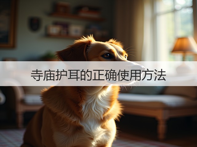 寺庙护耳的正确使用方法(图2)