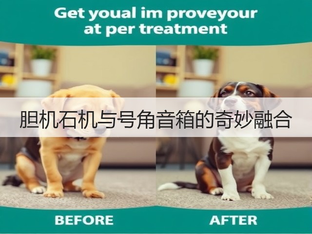 胆机石机与号角音箱的奇妙融合(图1) 胆机石机与号角音箱的奇妙融合(图1)
