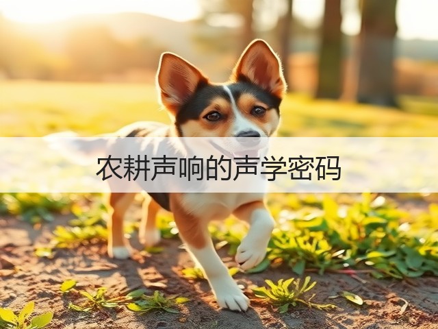 农耕声响的声学密码(图2) 农耕声响的声学密码(图2)