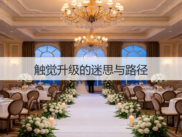 触觉升级的迷思与路径(图3)
