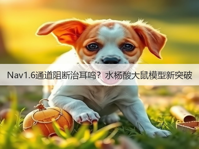 Nav1.6通道阻断治耳鸣?水杨酸大鼠模型新突破(图1) Nav1.6通道阻断治耳鸣?水杨酸大鼠模型新突破(图1)