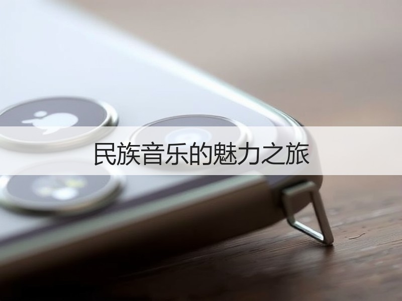 民族音乐的魅力之旅