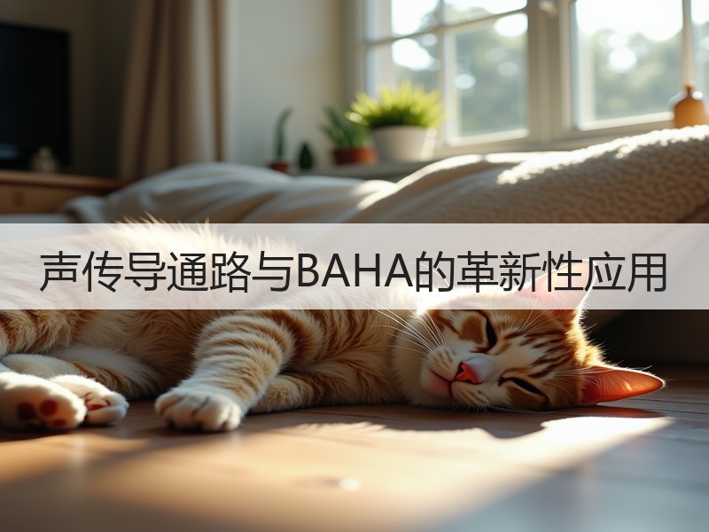 声传导通路与BAHA的革新性应用