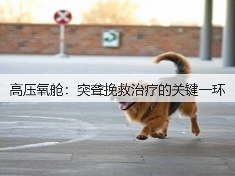 高压氧舱：突聋挽救治疗的关键一环