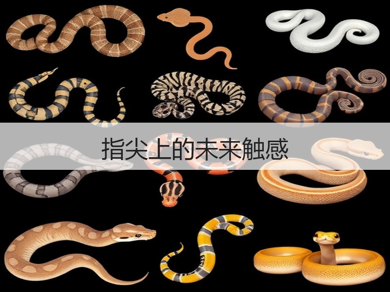指尖上的未来触感