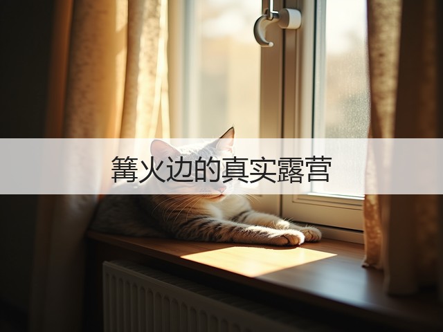 篝火边的真实露营(图1) 篝火边的真实露营(图1)