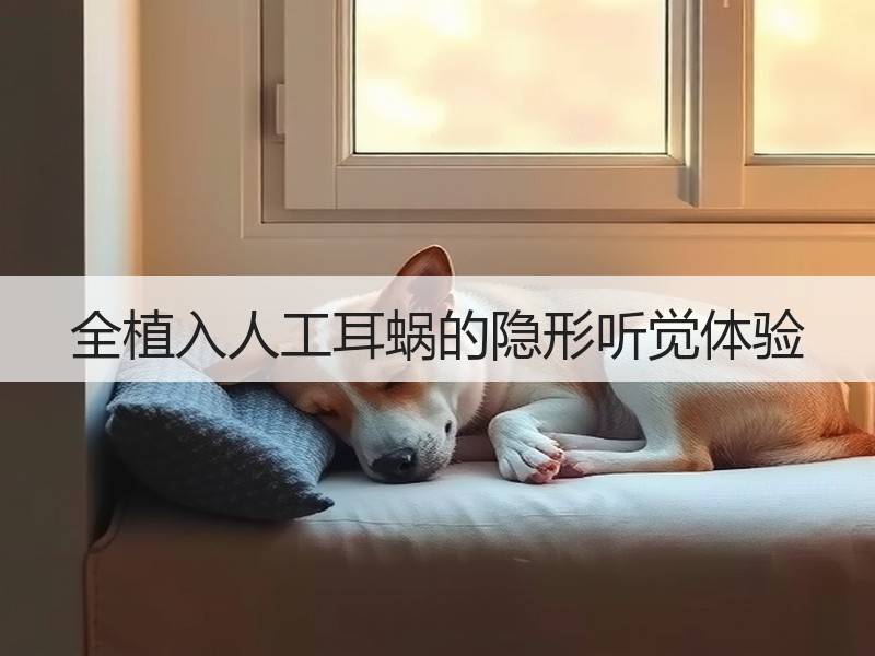 全植入人工耳蜗的隐形听觉体验