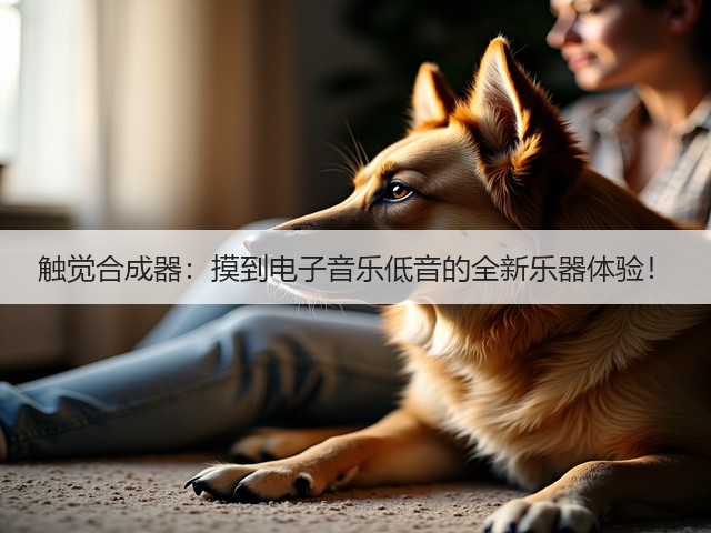 触觉合成器：摸到电子音乐低音的全新乐器体验！(图3)