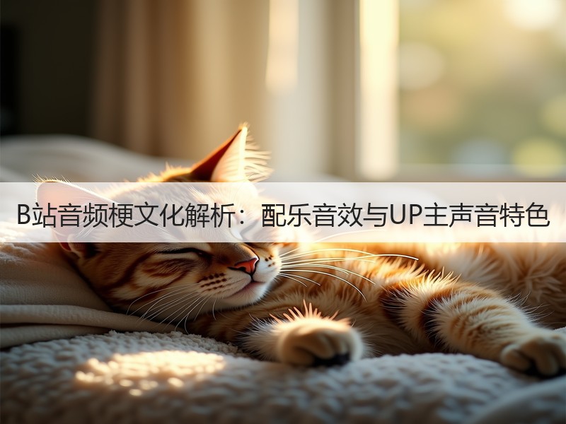 B站音频梗文化解析：配乐音效与UP主声音特色