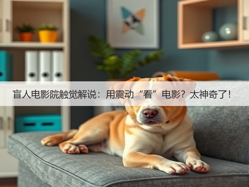 盲人电影院触觉解说：用震动“看”电影？太神奇了！