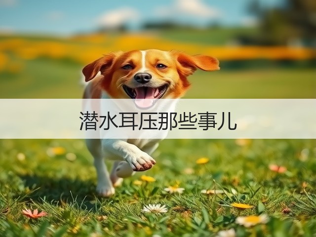 潜水耳压那些事儿(图2) 潜水耳压那些事儿(图2)