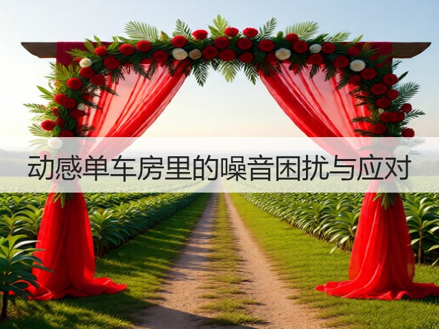 动感单车房里的噪音困扰与应对(图2) 动感单车房里的噪音困扰与应对(图2)