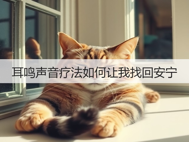 耳鸣声音疗法如何让我找回安宁(图2)
