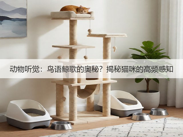 动物听觉:鸟语鲸歌的奥秘?揭秘猫咪的高频感知(图2) 动物听觉:鸟语鲸歌的奥秘?揭秘猫咪的高频感知(图2)