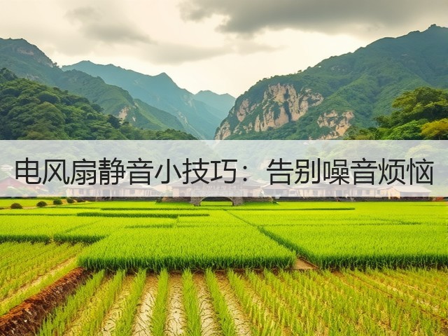 电风扇静音小技巧:告别噪音烦恼(图2) 电风扇静音小技巧:告别噪音烦恼(图2)