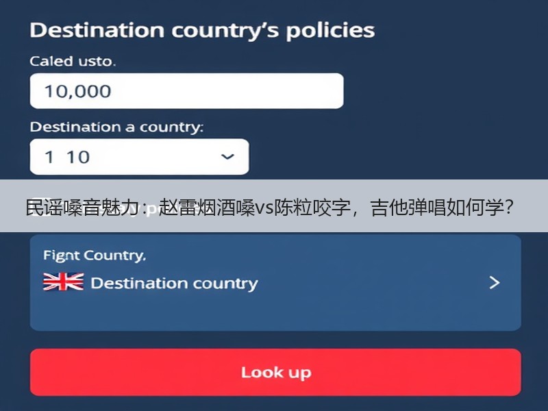 民谣嗓音魅力：赵雷烟酒嗓vs陈粒咬字，吉他弹唱如何学？