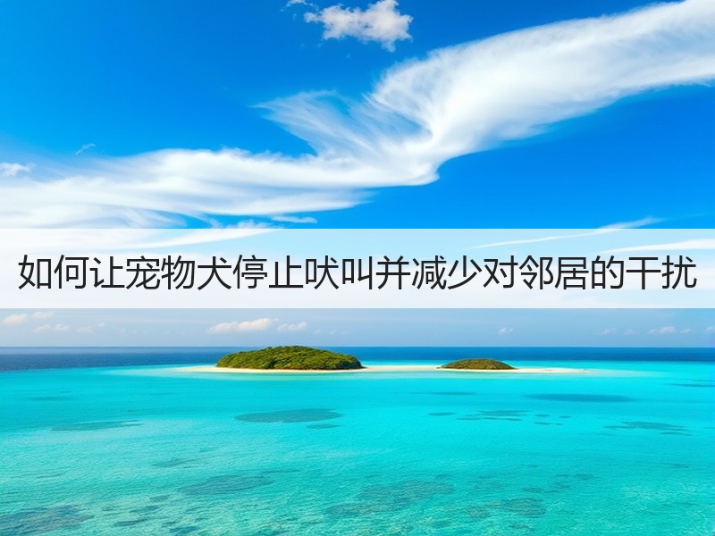 如何让宠物犬停止吠叫并减少对邻居的干扰