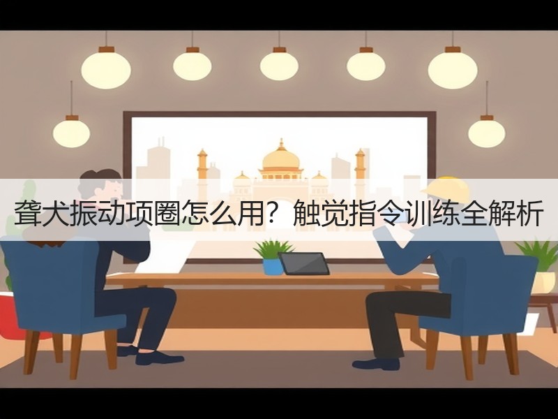 聋犬振动项圈怎么用？触觉指令训练全解析