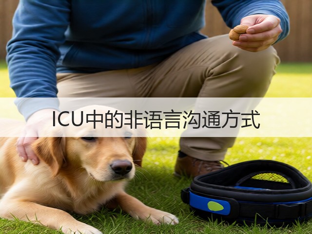 ICU中的非语言沟通方式(图1) ICU中的非语言沟通方式(图1)
