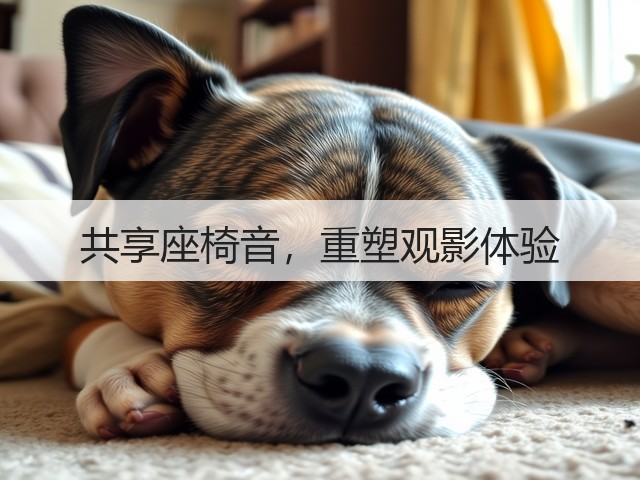 共享座椅音,重塑观影体验(图3) 共享座椅音,重塑观影体验(图3)