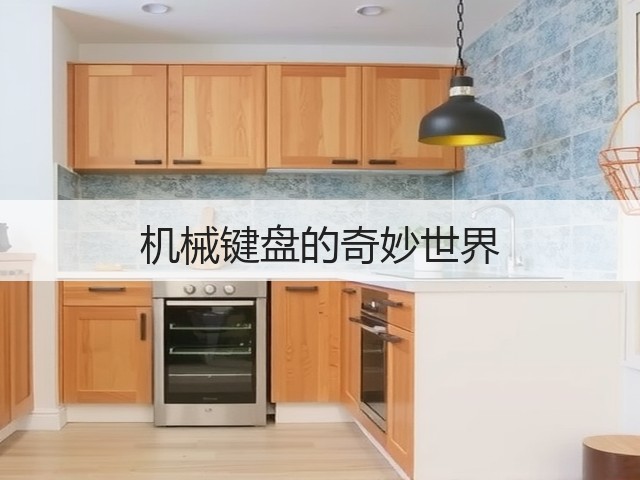 机械键盘的奇妙世界(图3)