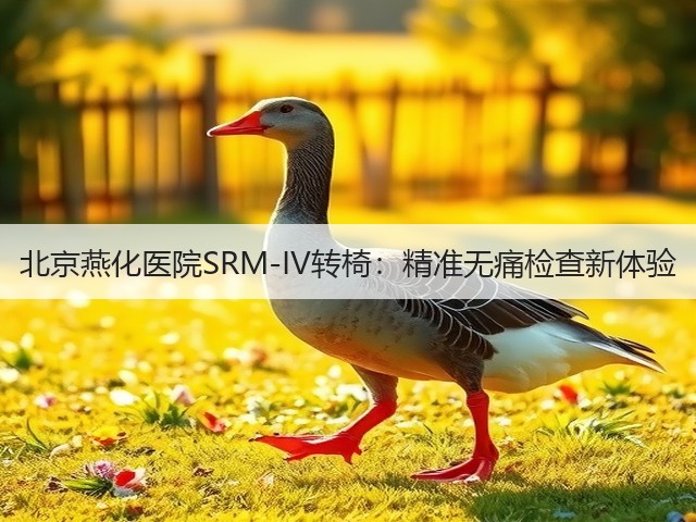 北京燕化医院SRM-IV转椅:精准无痛检查新体验(图1) 北京燕化医院SRM-IV转椅:精准无痛检查新体验(图1)