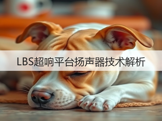 LBS超响平台扬声器技术解析(图1)