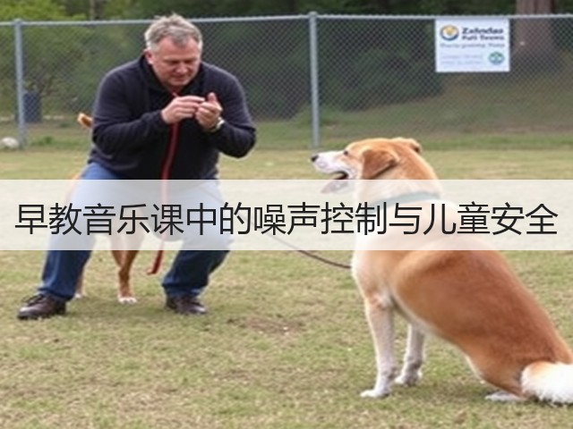 早教音乐课中的噪声控制与儿童安全(图2) 早教音乐课中的噪声控制与儿童安全(图2)