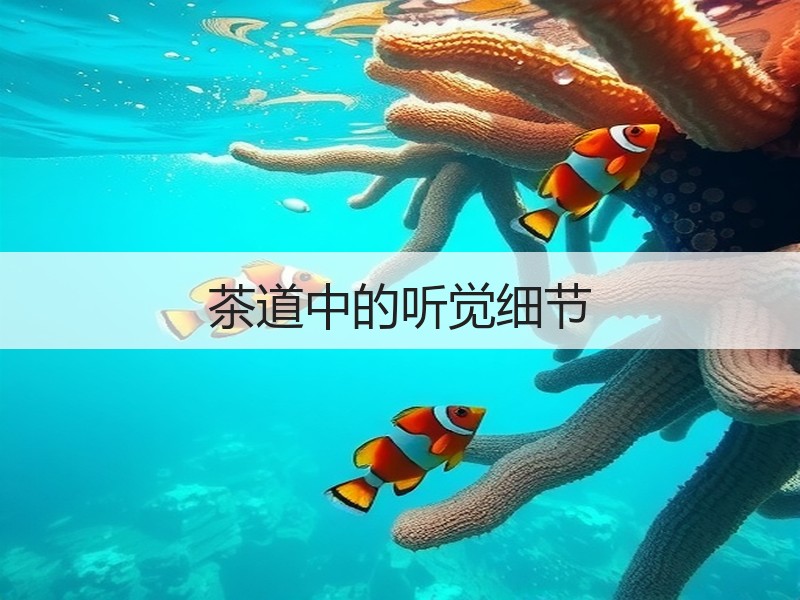 茶道中的听觉细节