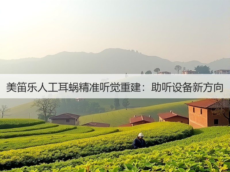 美笛乐人工耳蜗精准听觉重建：助听设备新方向