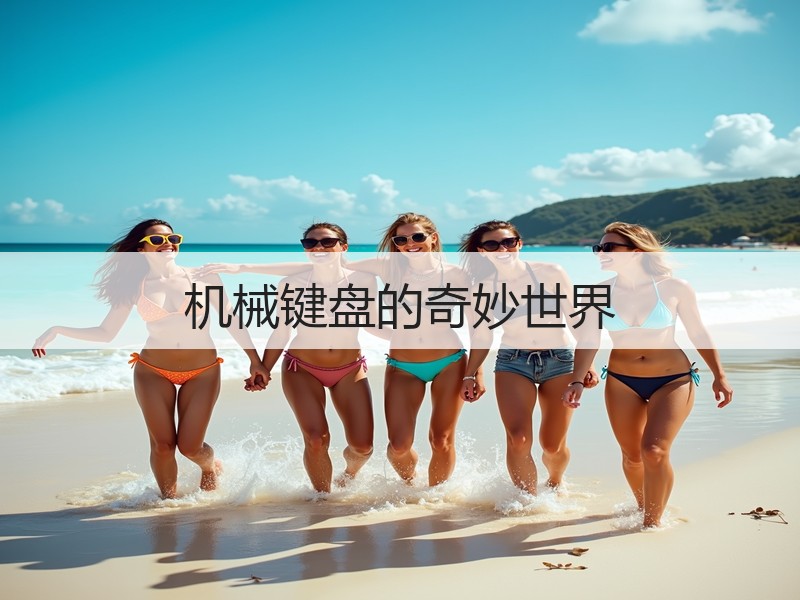 机械键盘的奇妙世界