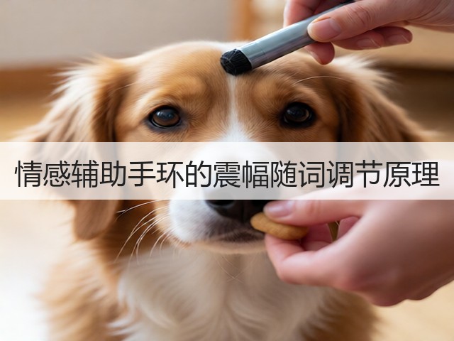 情感辅助手环的震幅随词调节原理(图3) 情感辅助手环的震幅随词调节原理(图3)