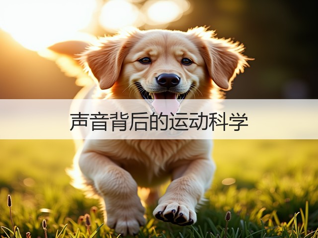 声音背后的运动科学(图2)