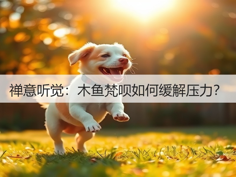 禅意听觉：木鱼梵呗如何缓解压力？