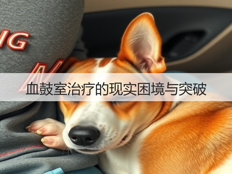 血鼓室治疗的现实困境与突破