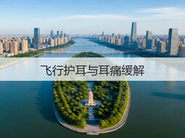 飞行护耳与耳痛缓解(图3) 飞行护耳与耳痛缓解(图3)