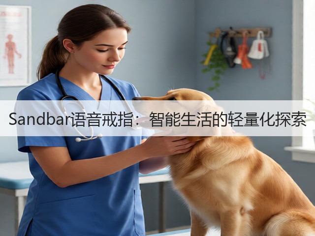 Sandbar语音戒指:智能生活的轻量化探索(图1) Sandbar语音戒指:智能生活的轻量化探索(图1)