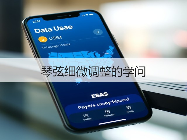 琴弦细微调整的学问(图1)