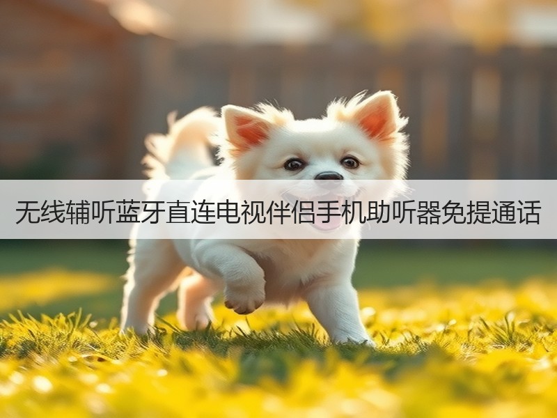 无线辅听蓝牙直连电视伴侣手机助听器免提通话