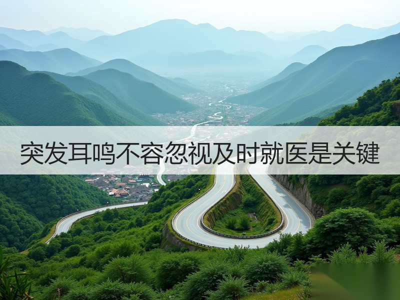 突发耳鸣不容忽视及时就医是关键