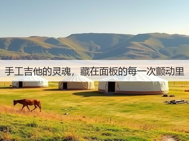 手工吉他的灵魂,藏在面板的每一次颤动里(图3) 手工吉他的灵魂,藏在面板的每一次颤动里(图3)