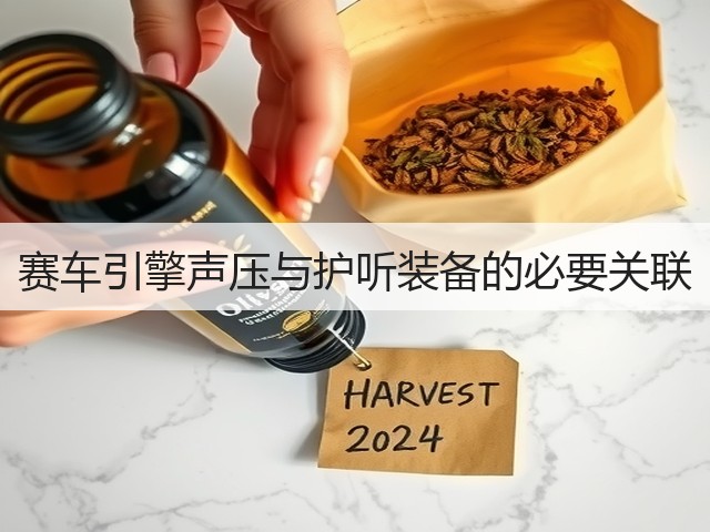 赛车引擎声压与护听装备的必要关联(图2) 赛车引擎声压与护听装备的必要关联(图2)