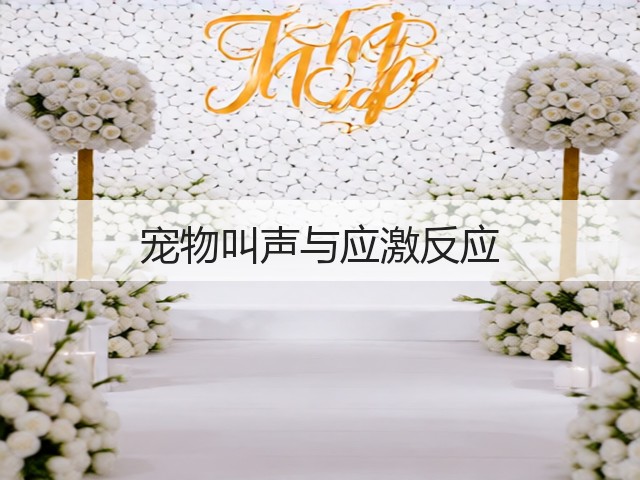 宠物叫声与应激反应(图3) 宠物叫声与应激反应(图3)