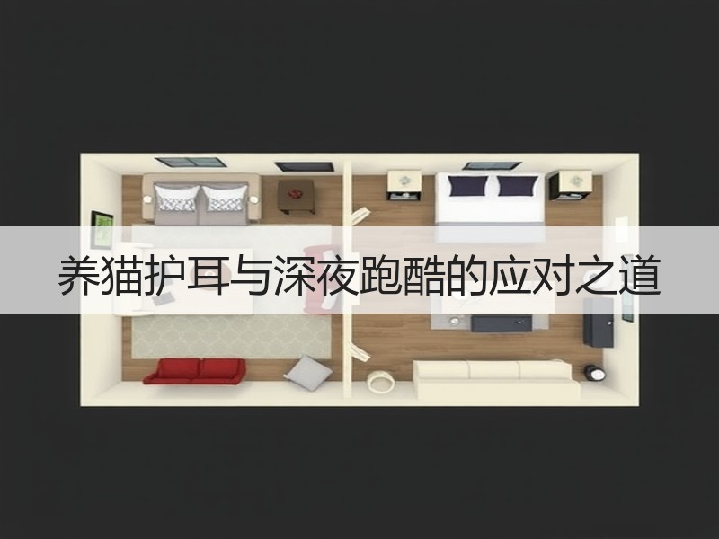 养猫护耳与深夜跑酷的应对之道