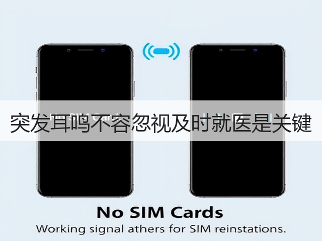 突发耳鸣不容忽视及时就医是关键(图3) 突发耳鸣不容忽视及时就医是关键(图3)