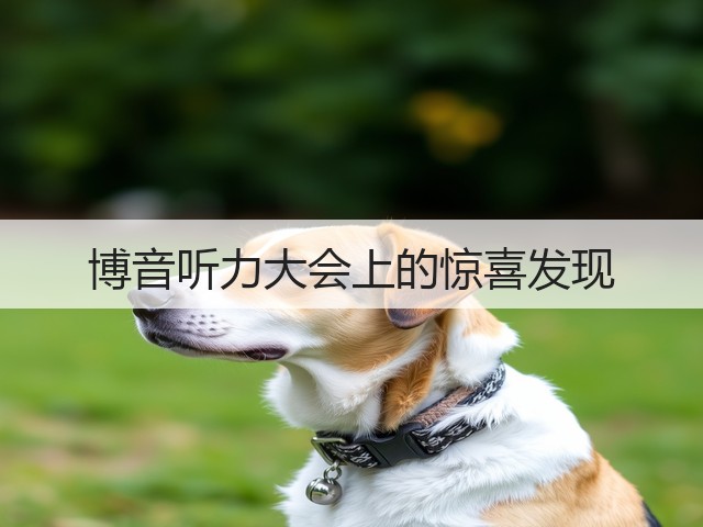 博音听力大会上的惊喜发现(图1) 博音听力大会上的惊喜发现(图1)